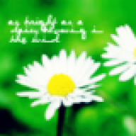flowerviet